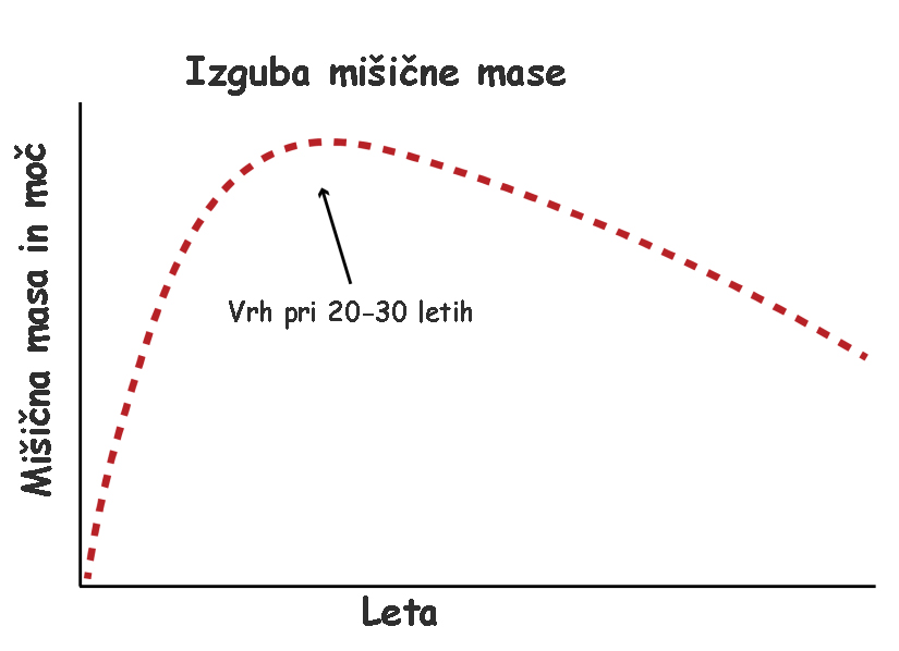 Mišična masa